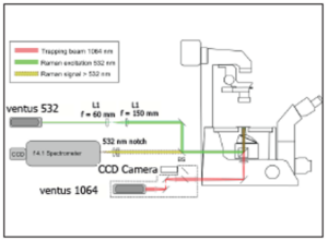 Novanta Ventus laser system diagram for optical trapping and Raman spectroscopy with microscope, spectrometer, and CCD.